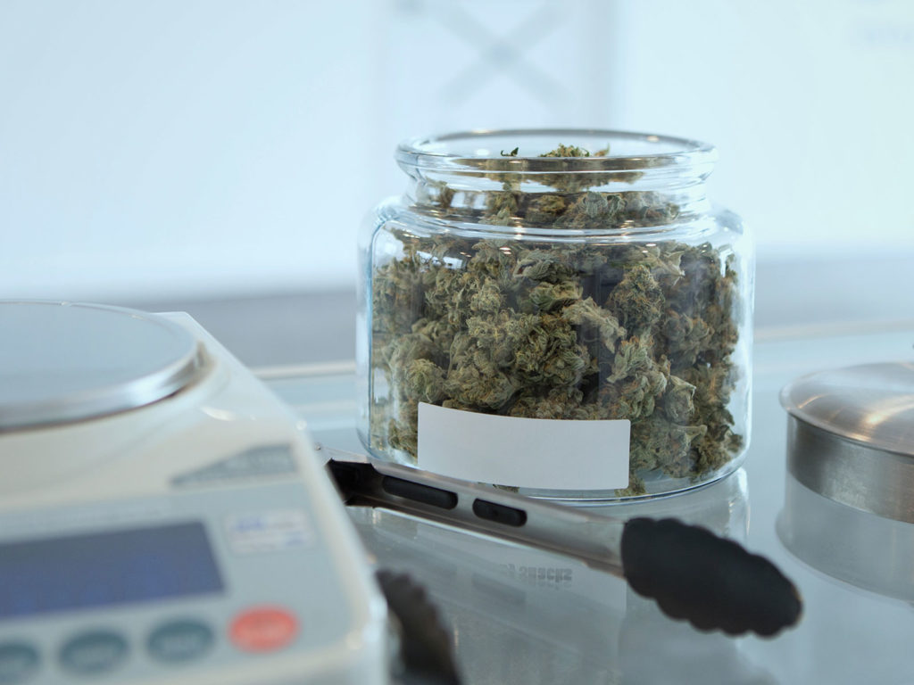 Cannabis in jar with scale