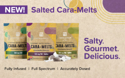 SALTY. GOURMET. DELICIOUS. NEW FULLY INFUSED SALTED CARA-MELTS ARE HERE.